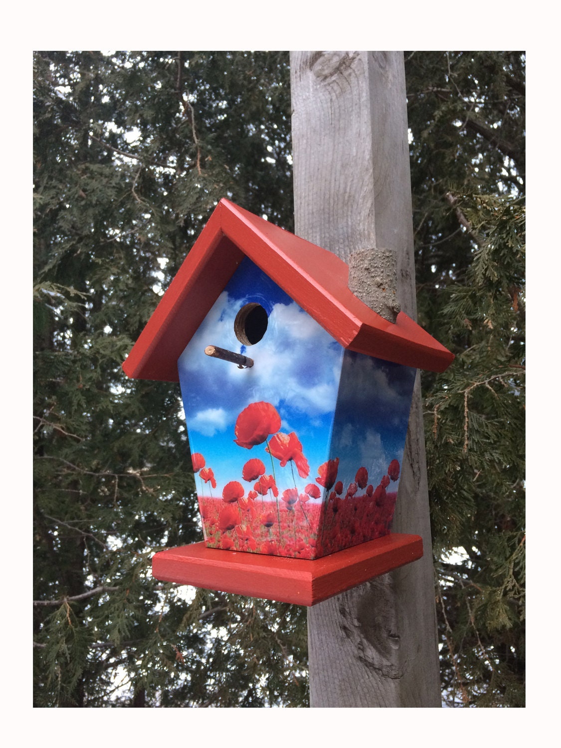Remembrance Day Birdhouse/Feeder