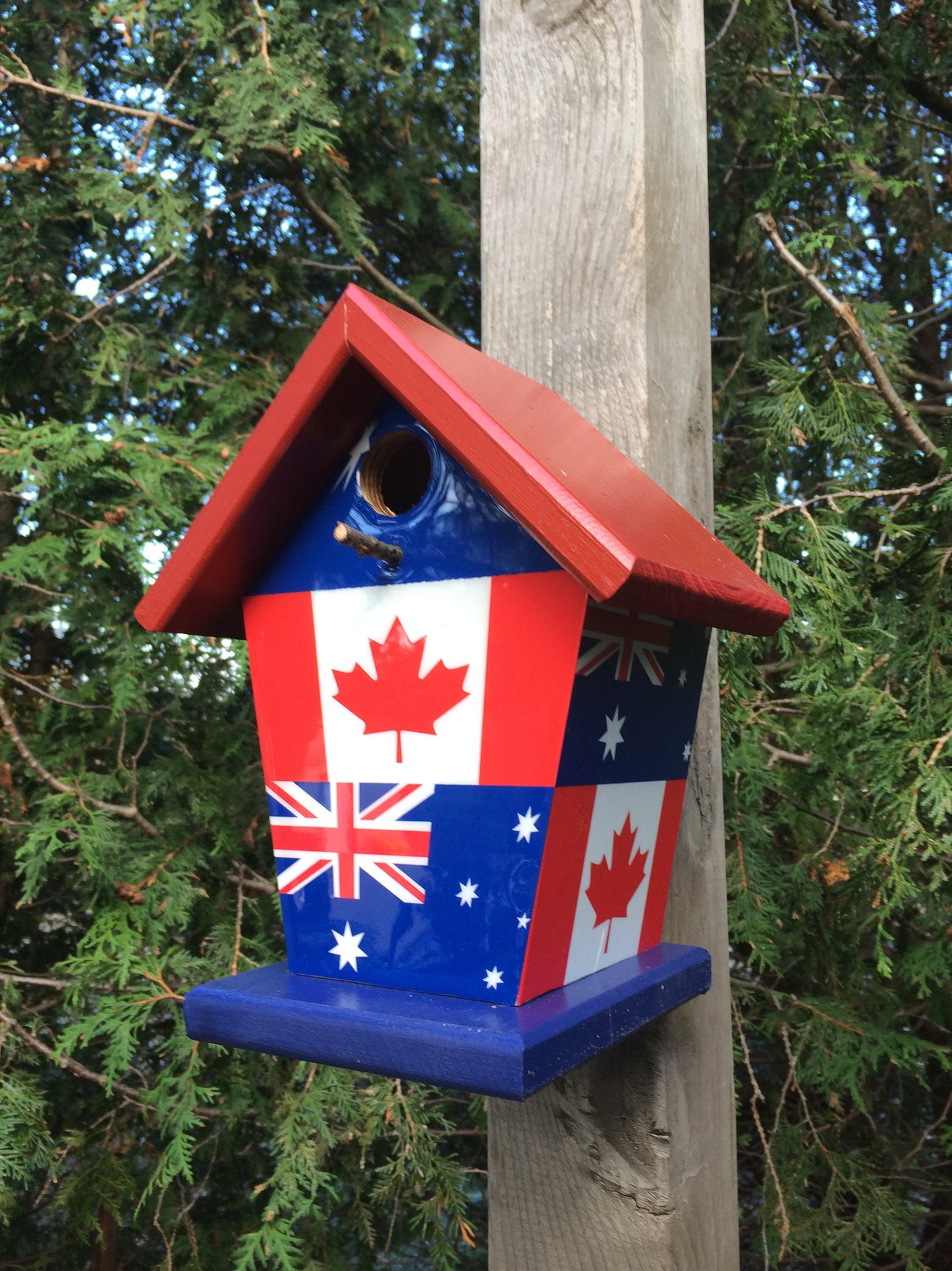 Canada & Australia Birdhouse/Feeder