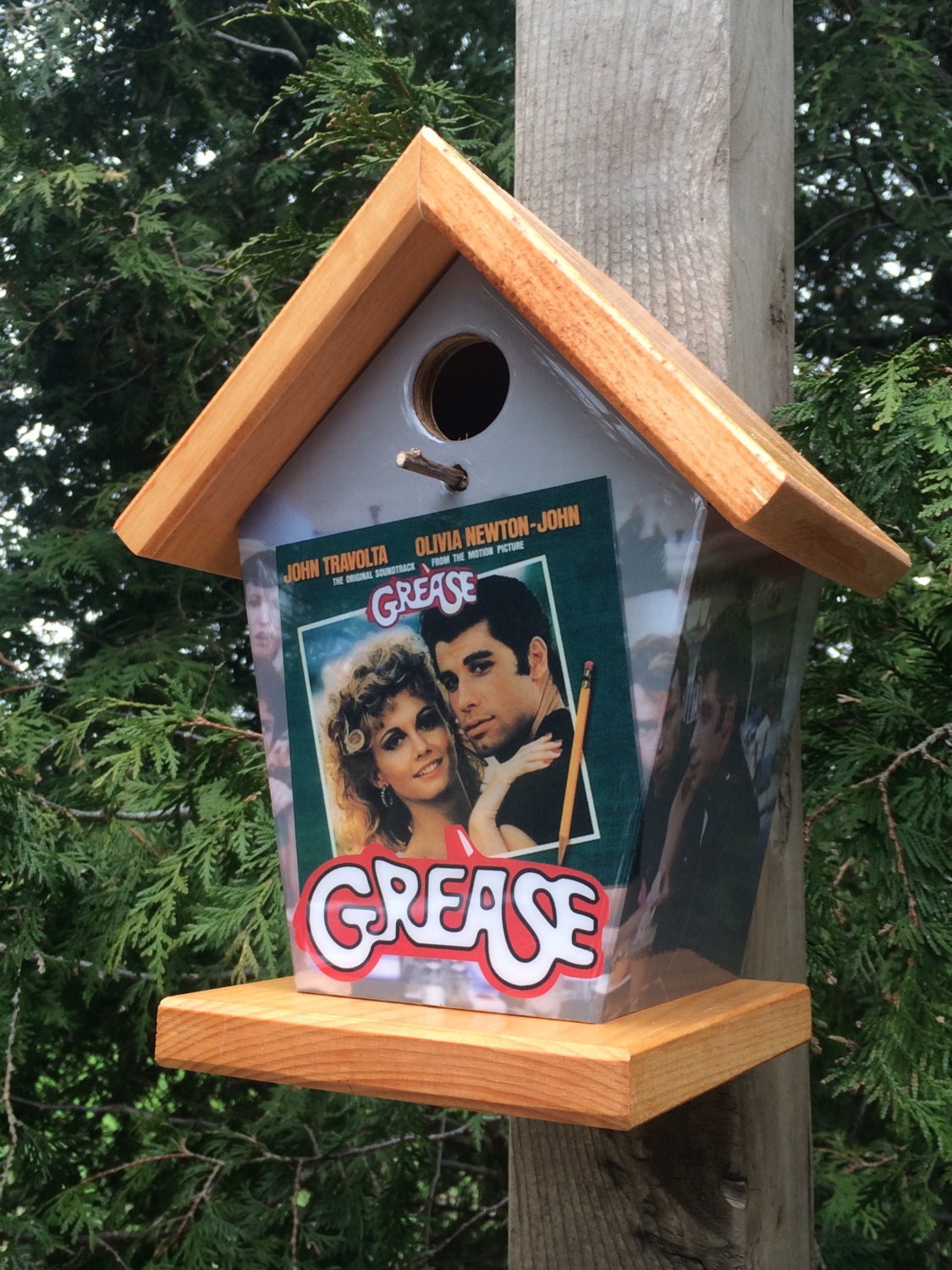 Grease Birdhouse/Feeder