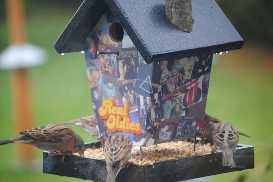 Real Oldies(Black Roof)Bird Feeder