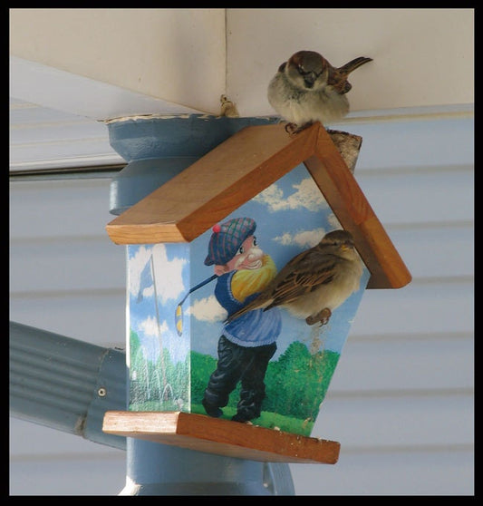 Golf Stained Roof & Base Birdhouse Sports