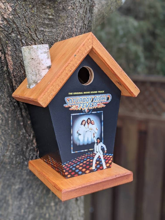 Saturday Night Fever Birdhouse