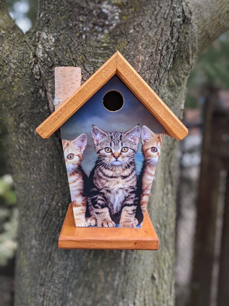 Kittens(Stained Roof) Birdhouse/Feeder