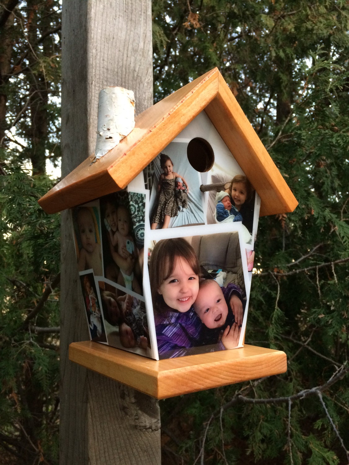 Personalized Photos Birdhouse (Multiple 6-8 Pictures)