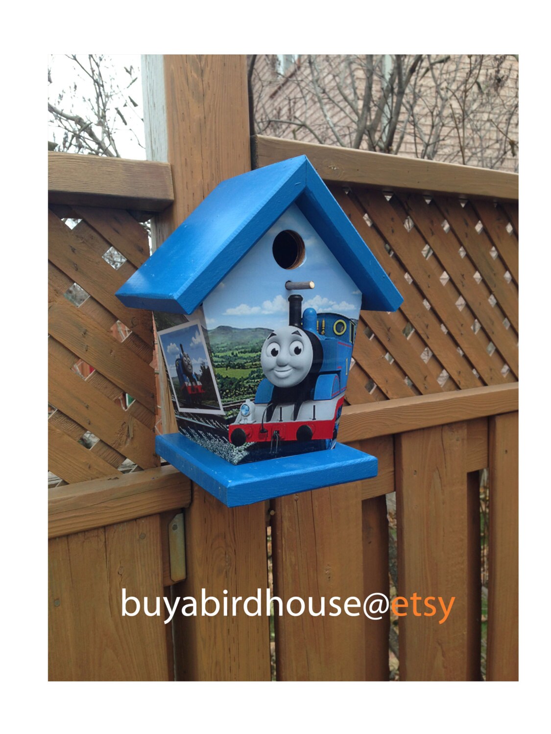 Thomas The Train Birdhouse/Feeder