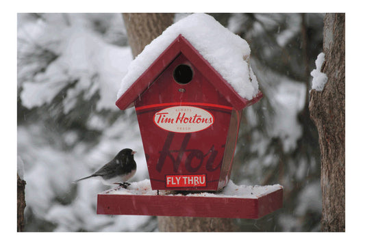 Coffee Lovers Fly Thru (Old Style) Bird Feeder