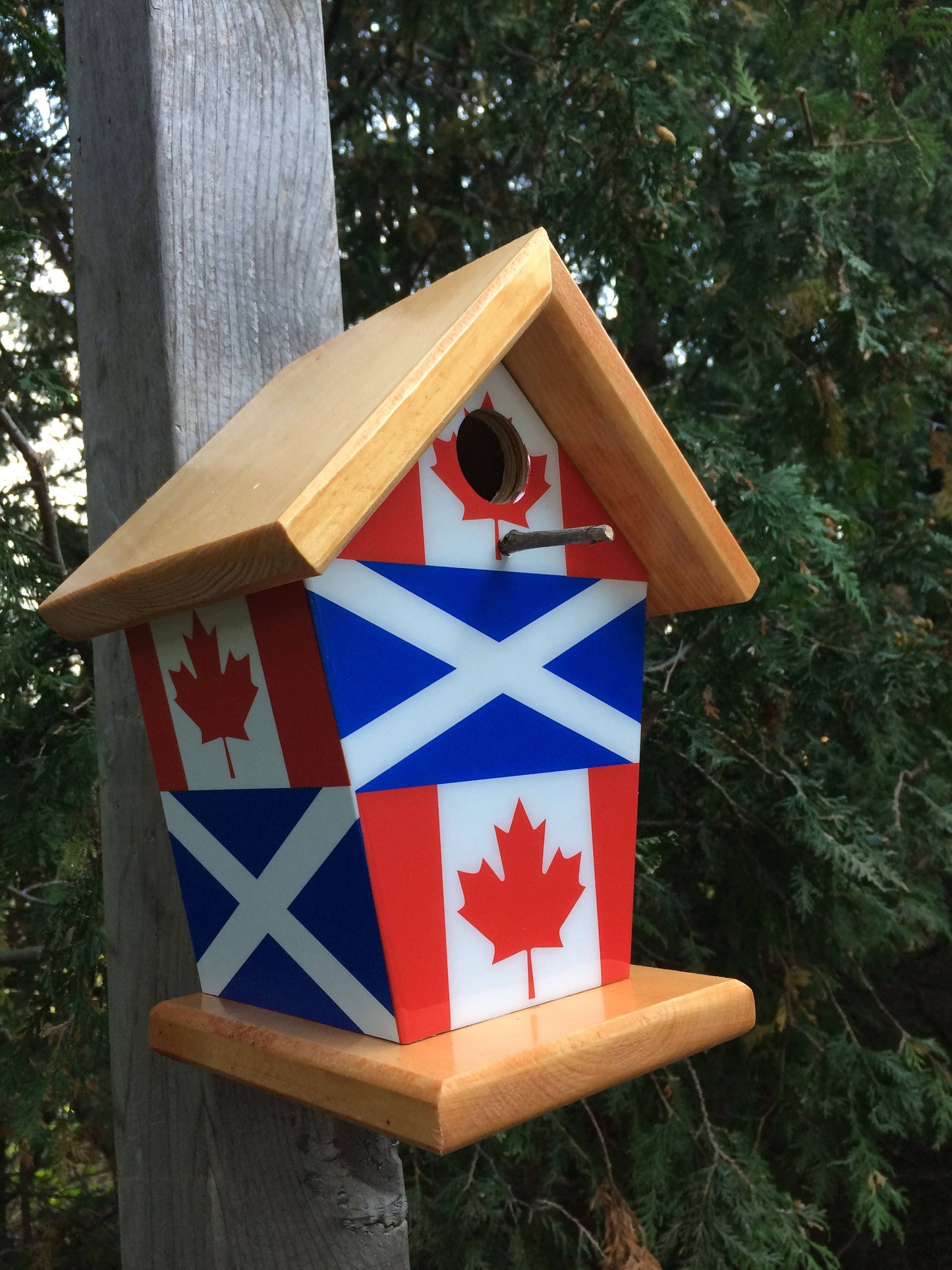 Scotland & Canada (Stained Roof) Birdhouse/Feeder