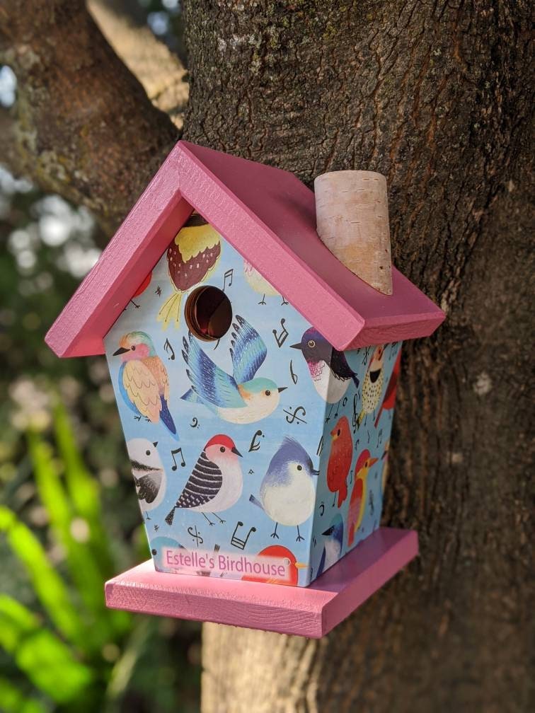 Songbirds (Pink Roof) Birdhouse/Feeder