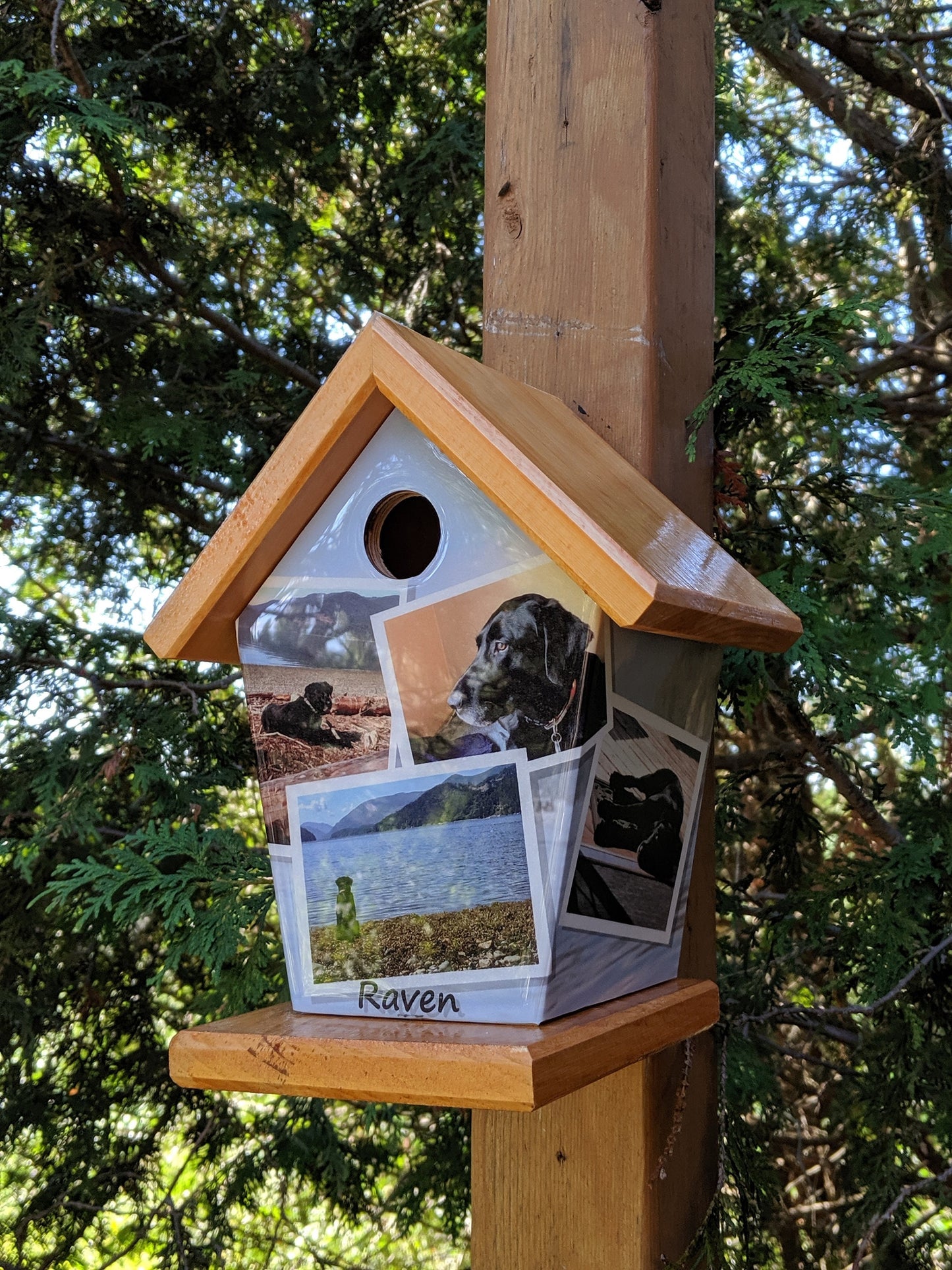 Personalized Birdhouse (6-8 images)