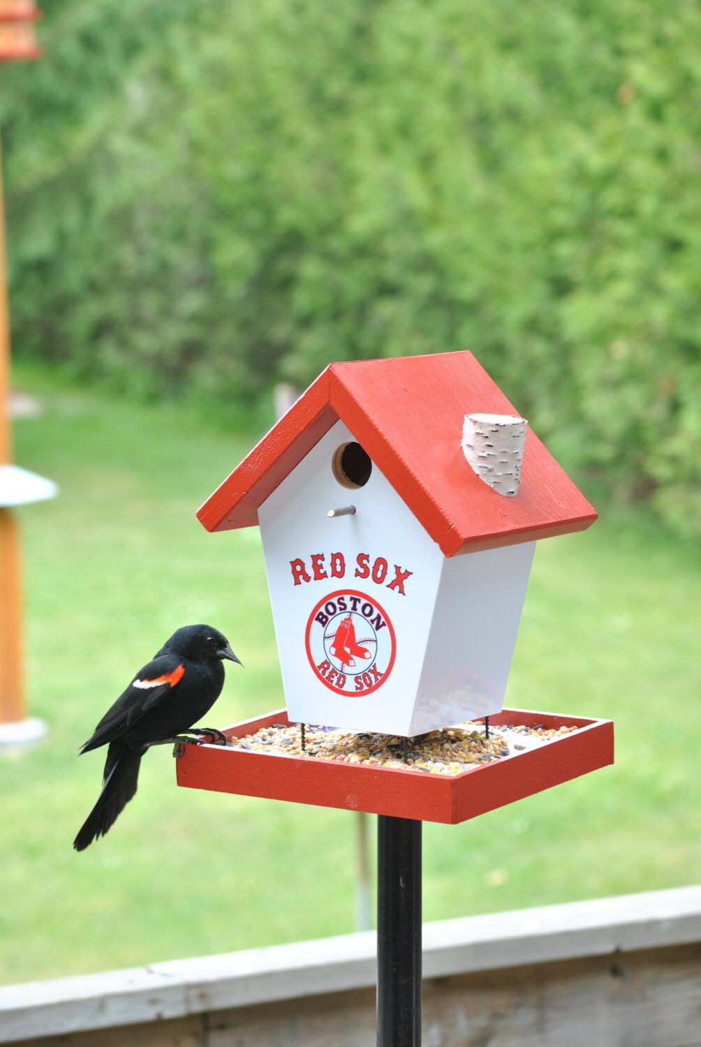 Boston Red Sox Bird Feeder