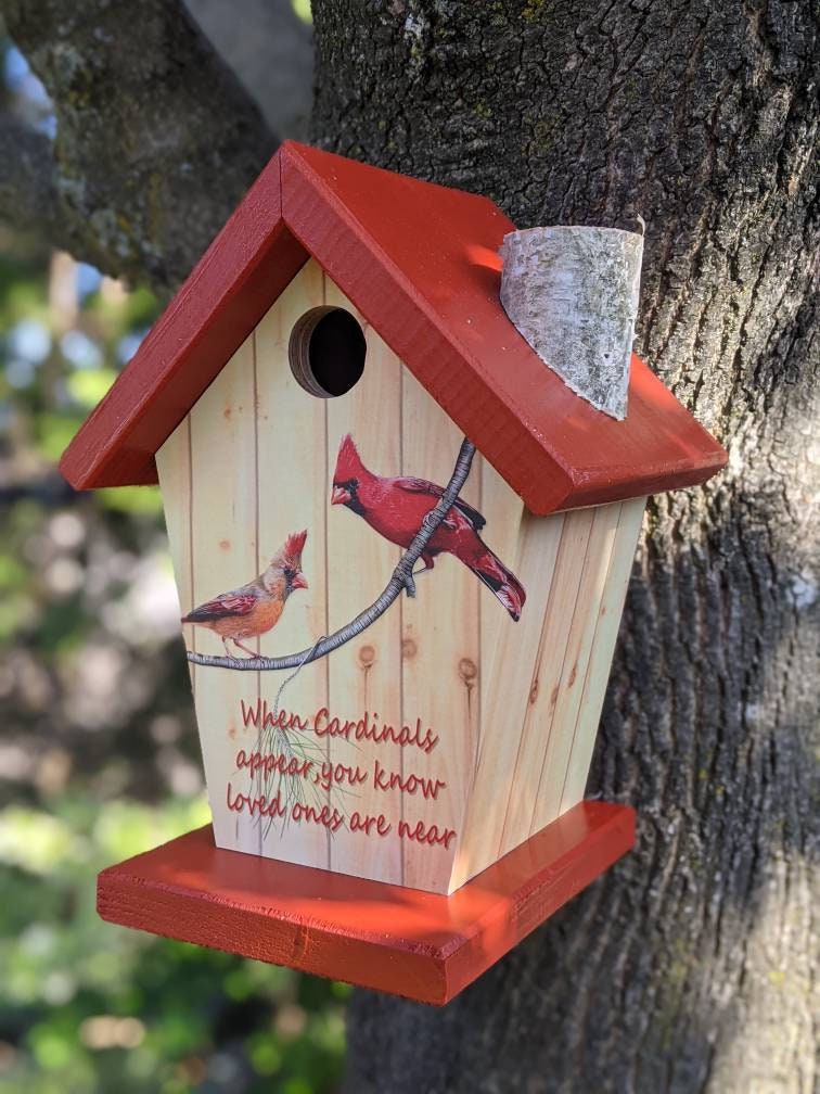 Cardinal (Red Roof) Birdhouse/Feeder