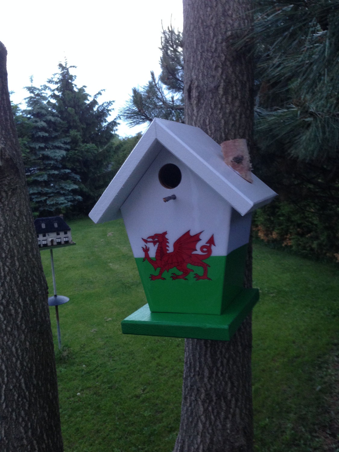 Welsh Flag Birdhouse/Feeder