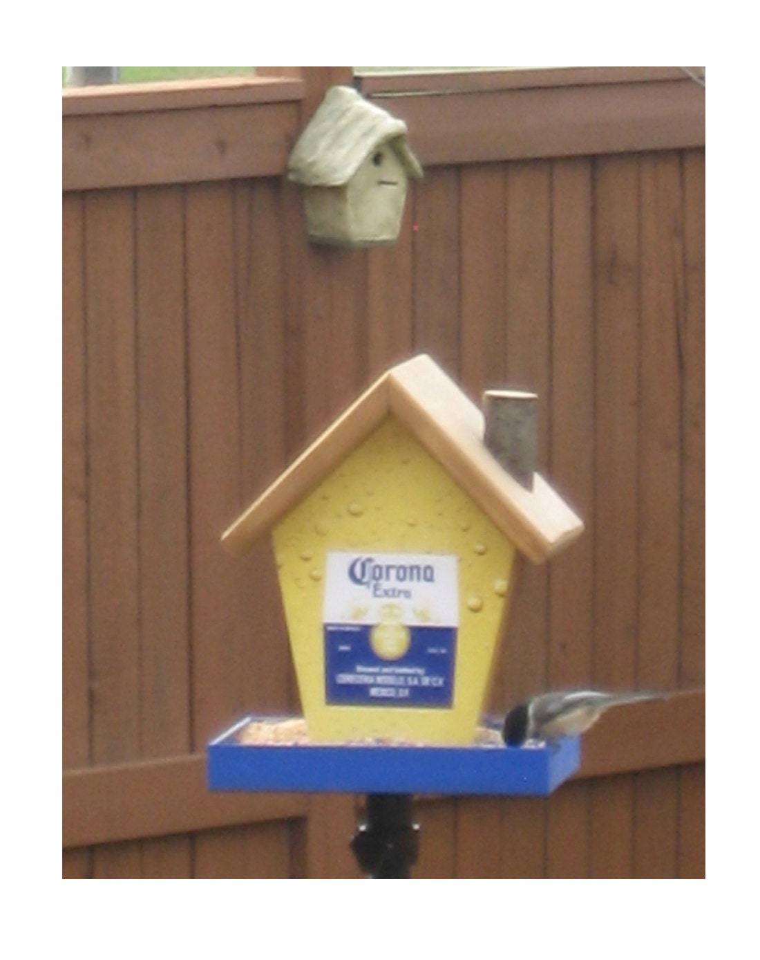 Corona Bird Bird Feeder/Birdhouse