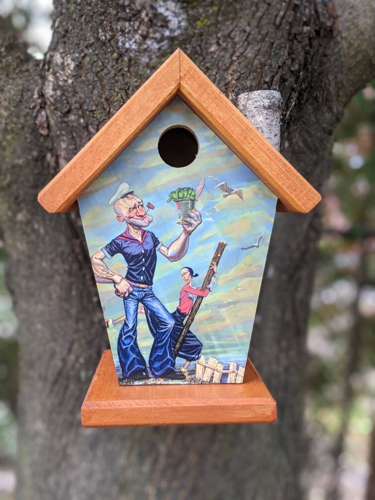 Popeye Birdhouse/Feeder