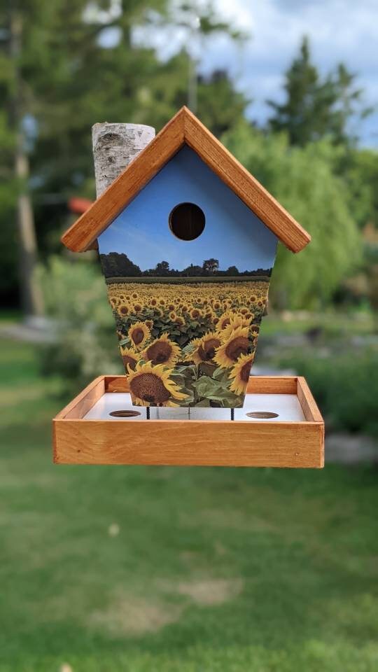 Sunflower Bird Feeder/Birdhouse