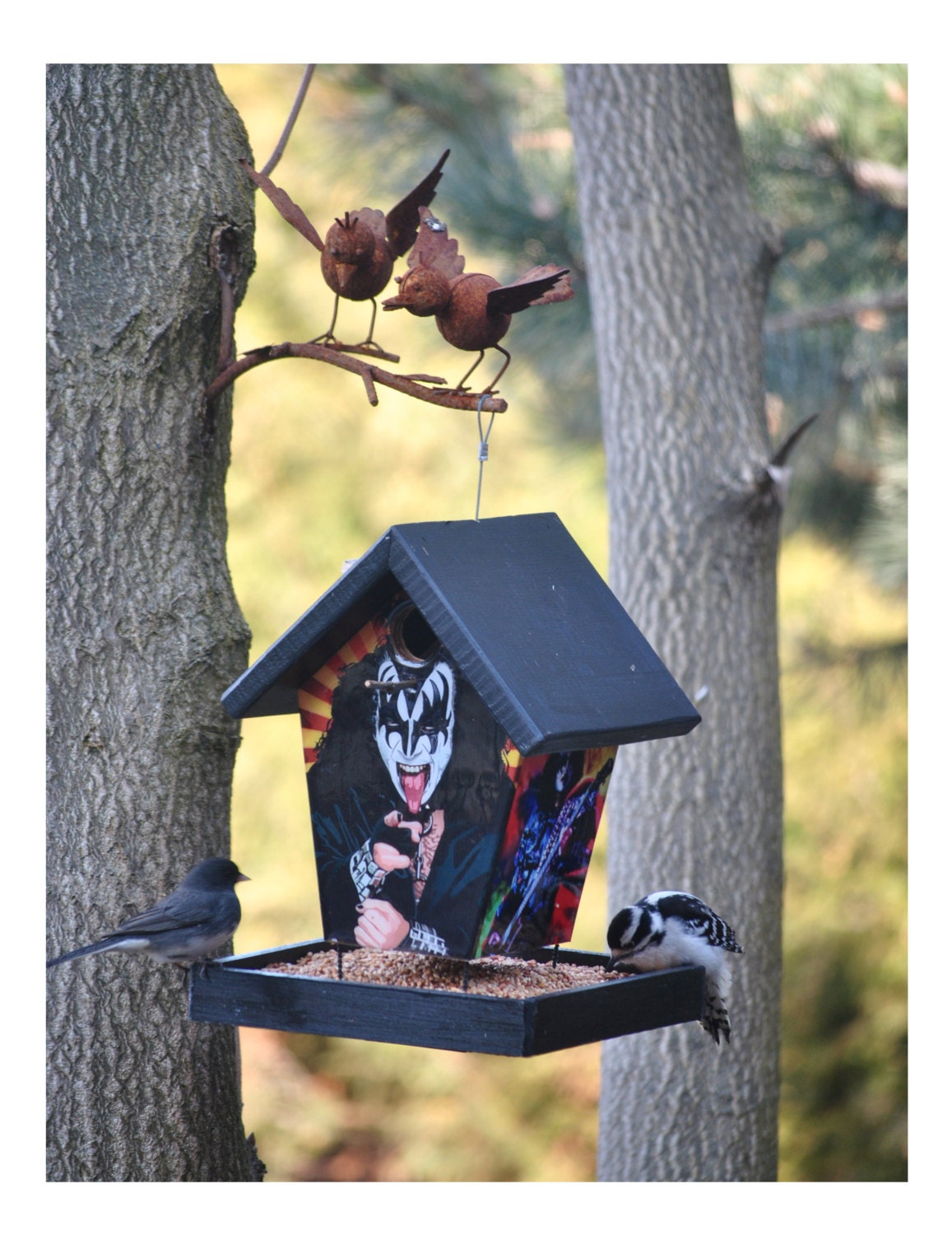 Kiss Bird Feeder Music