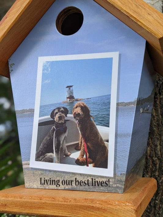 Personalized Birdhouse (Living our best lives)