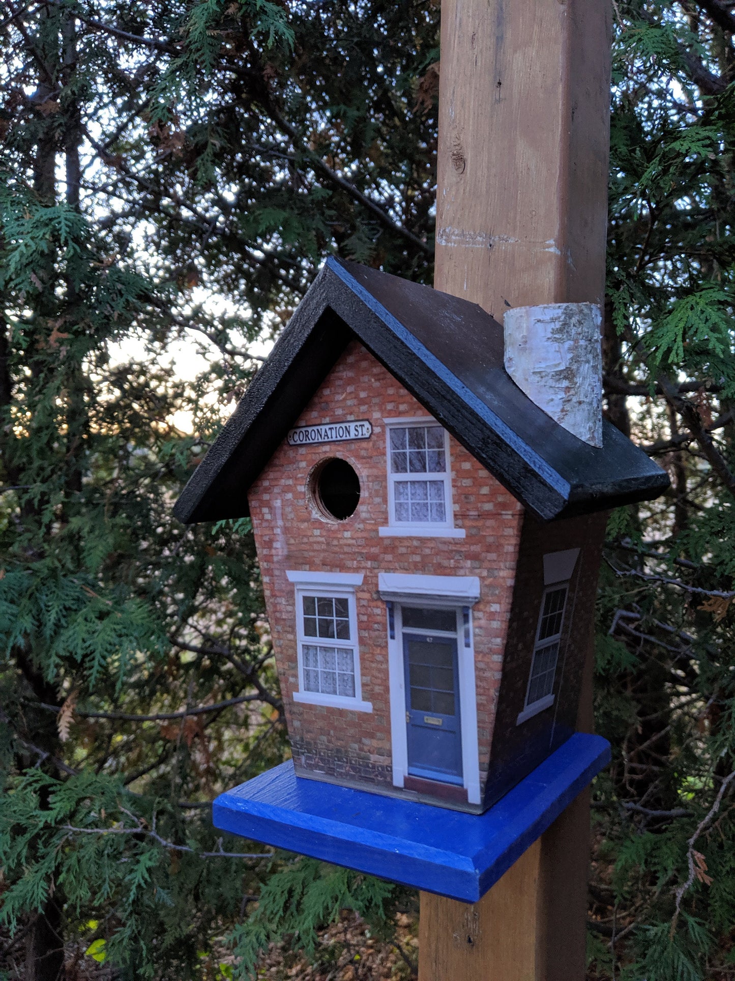 Coronation Street (Black Roof Blue Base) Birdhouse/Feeder