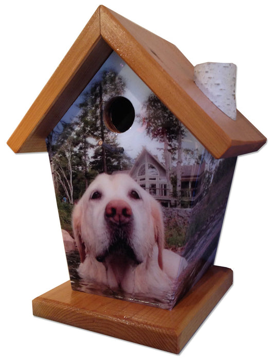 Custom (Pets) Birdhouse/Feeder