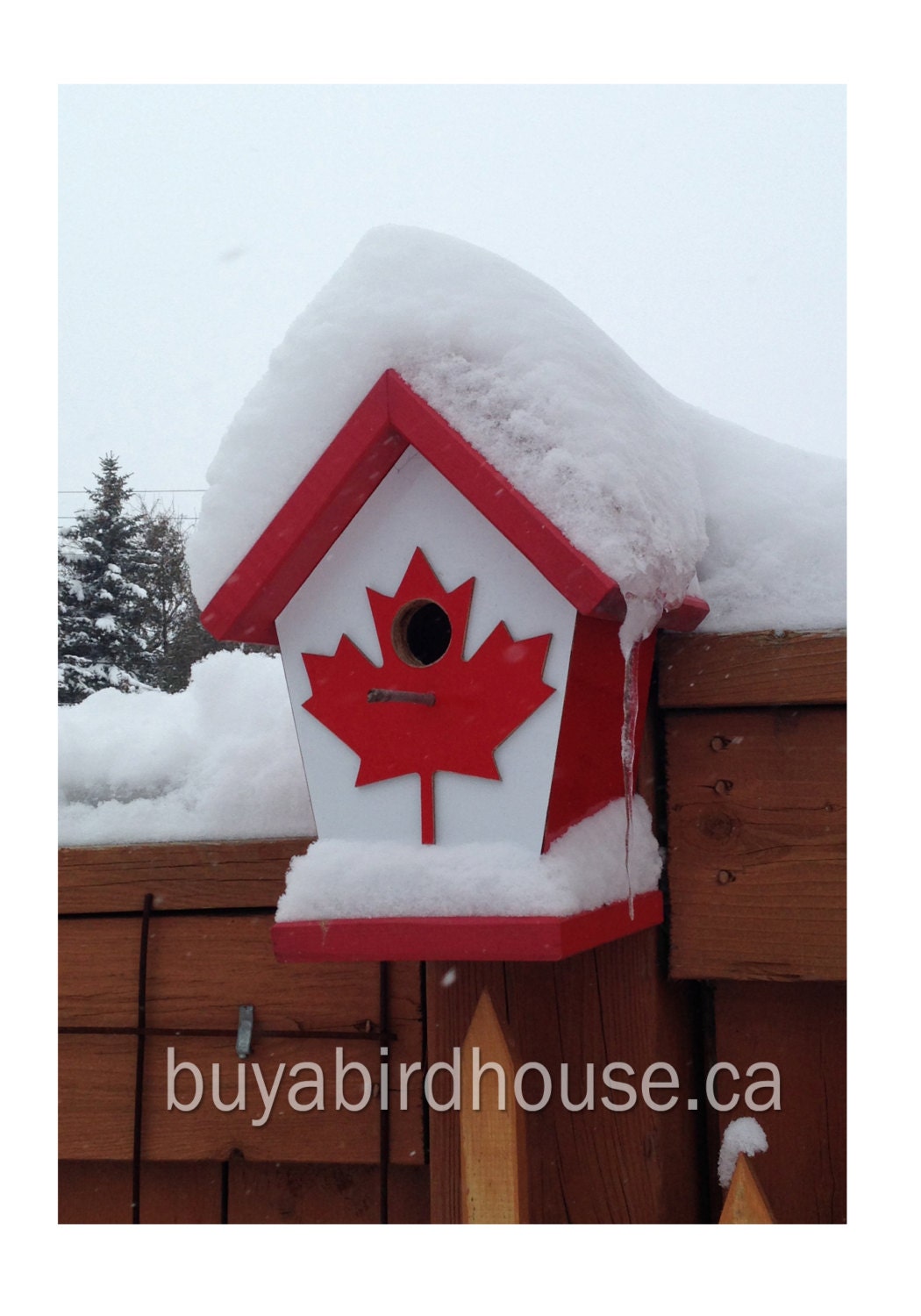 Canada Flag (Wooden Decal Maple Leaf) Birdhouse/Feeder