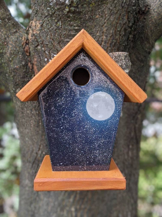 Full Moon Birdhouse