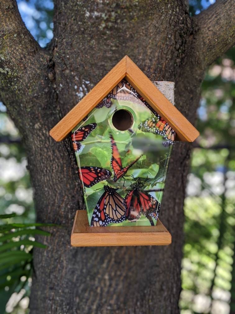 Monarch Butterfly Birdhouse/Feeder