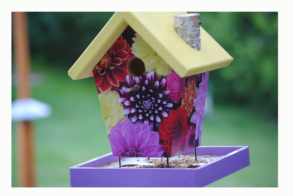 Dahlia Bird Feeder/Birdhouse