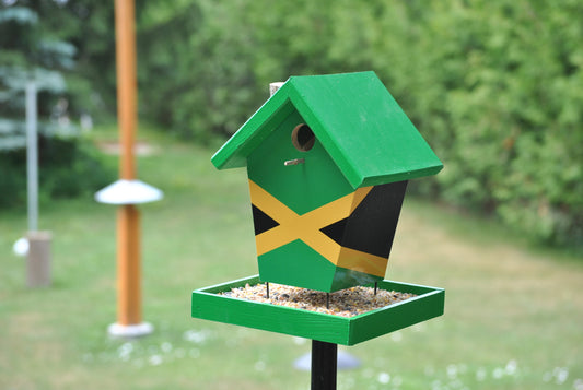 Jamaica Green Roof Bird Feeder