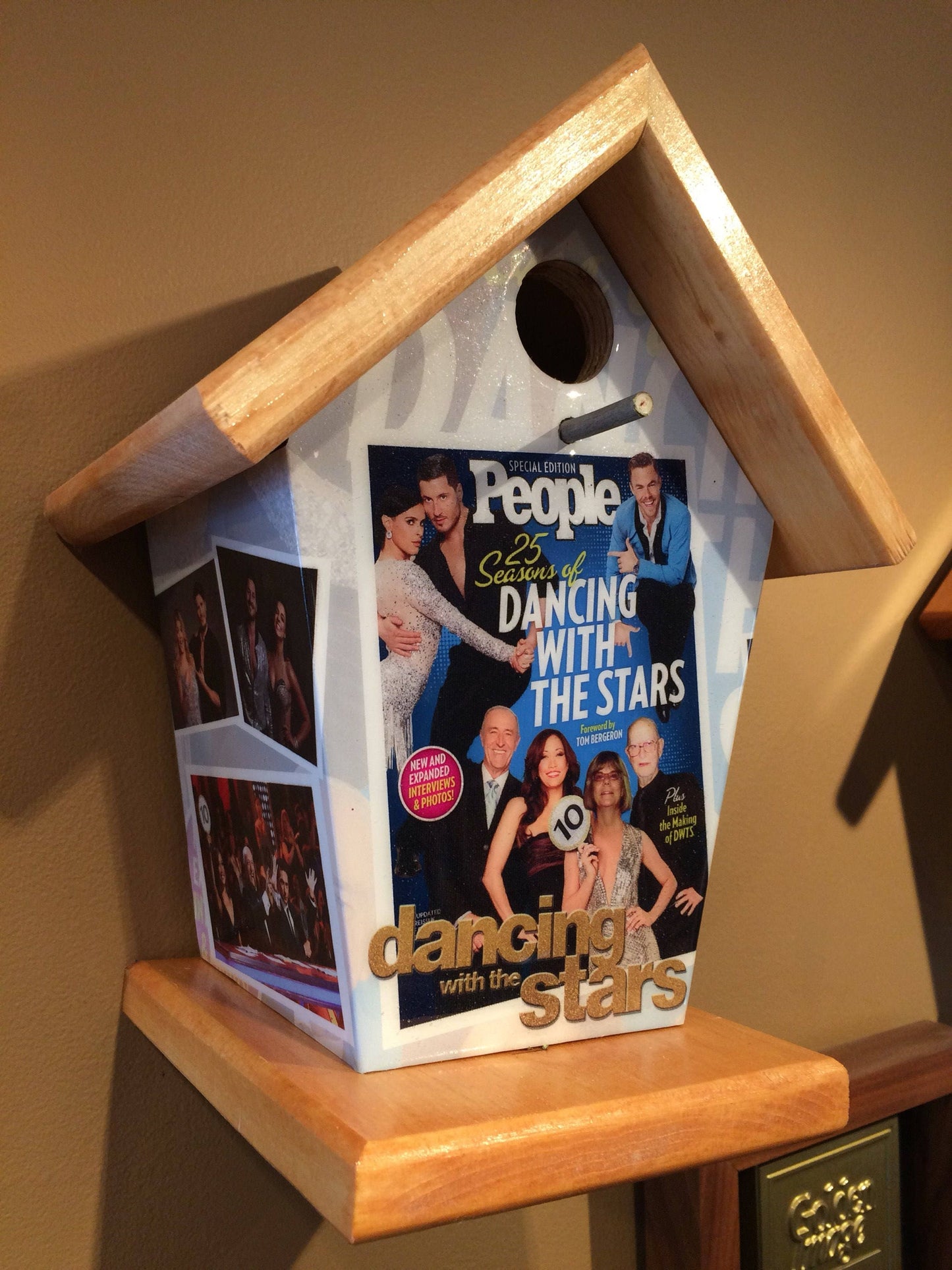 Dancing with the Stars Birdhouse/Feeder