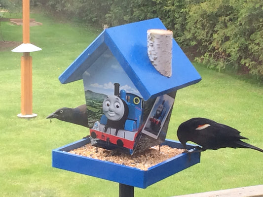 Thomas The Train Bird Feeder/Birdhouse
