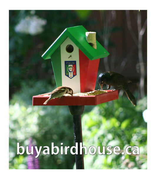 Italy World Cup Soccer Bird Feeder