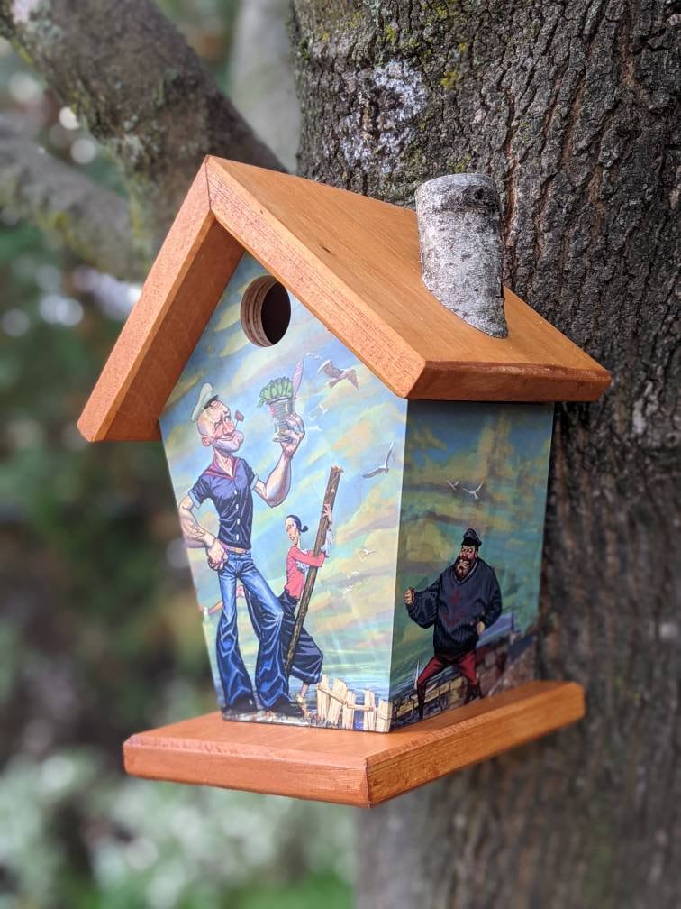 Popeye Birdhouse/Feeder