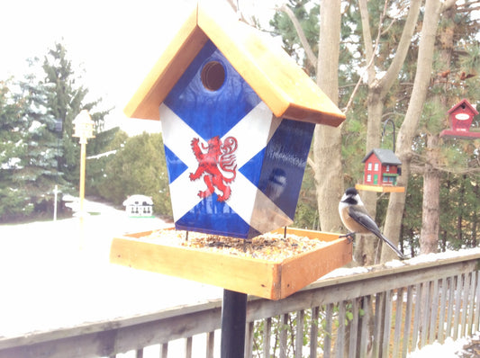 Scotland (Stained Roof) Bird Feeder