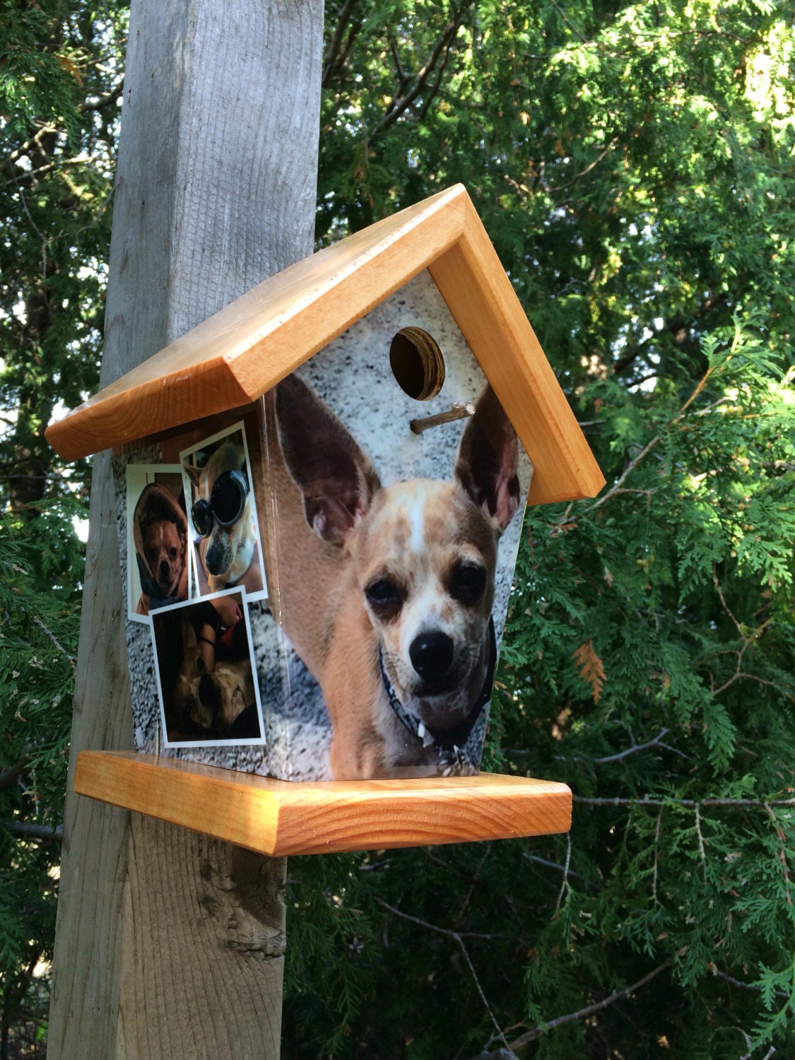 Custom Pet Image wrapped Birdhouse/Feeder