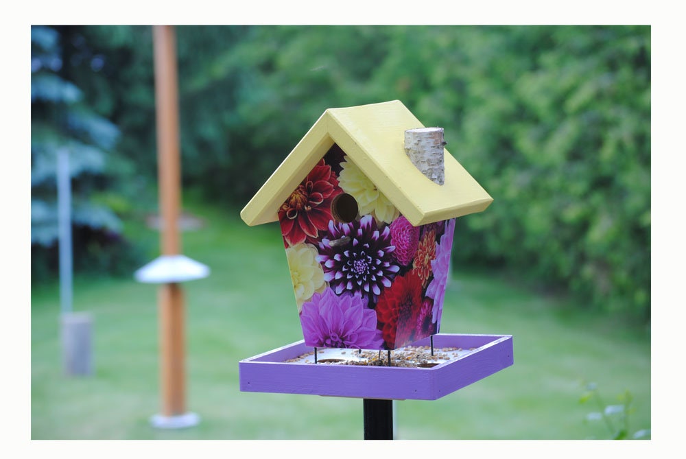 Dahlia Bird Feeder/Birdhouse