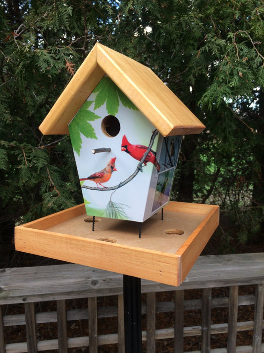 Cardinals (Stained Roof) Bird Feeder