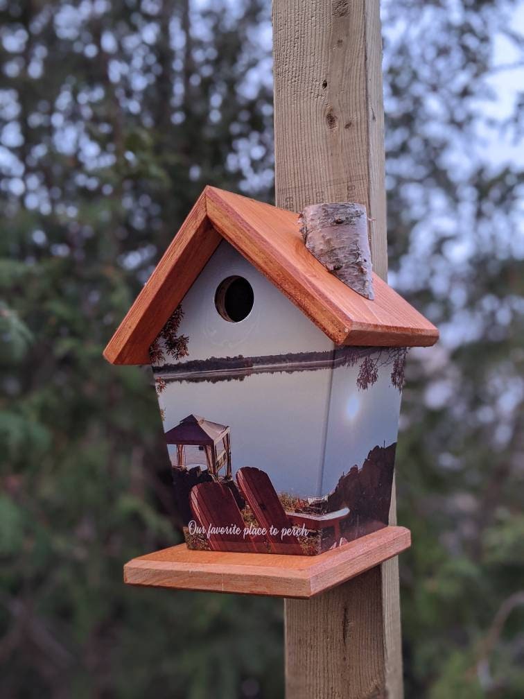 Our favorite place to perch! Birdhouse/Feeder