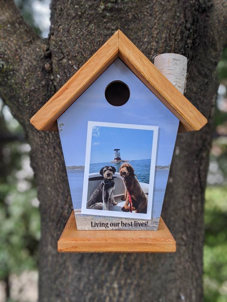 Personalized Birdhouse (Living our best lives)