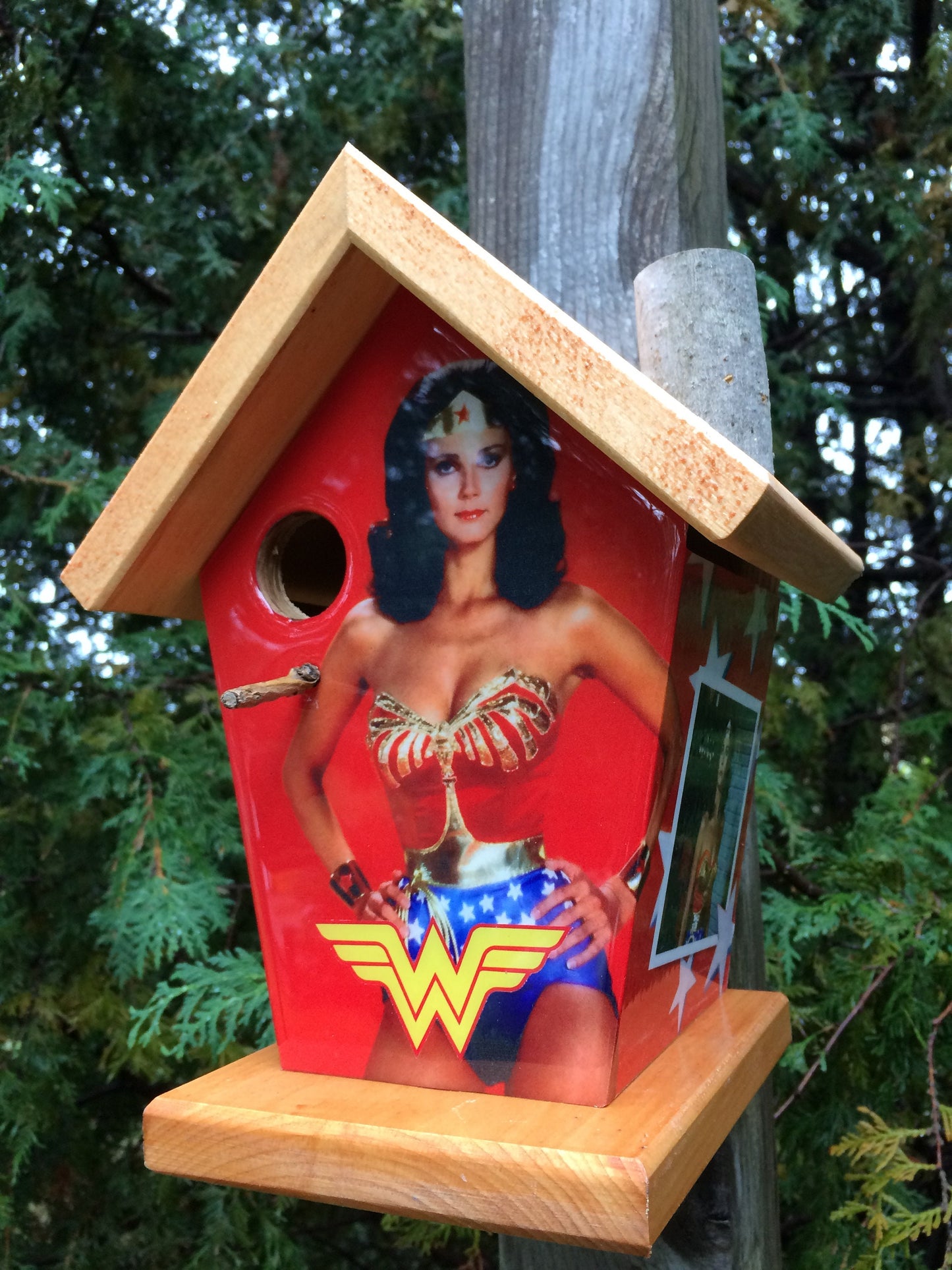 Wonder Woman Birdhouse