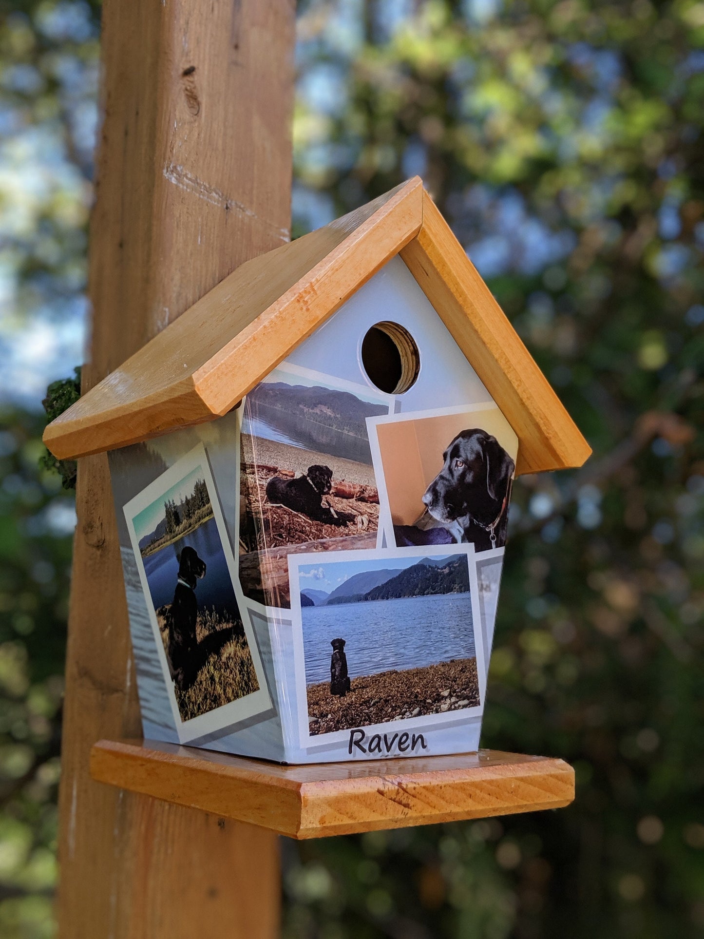 Personalized Birdhouse (6-8 images)