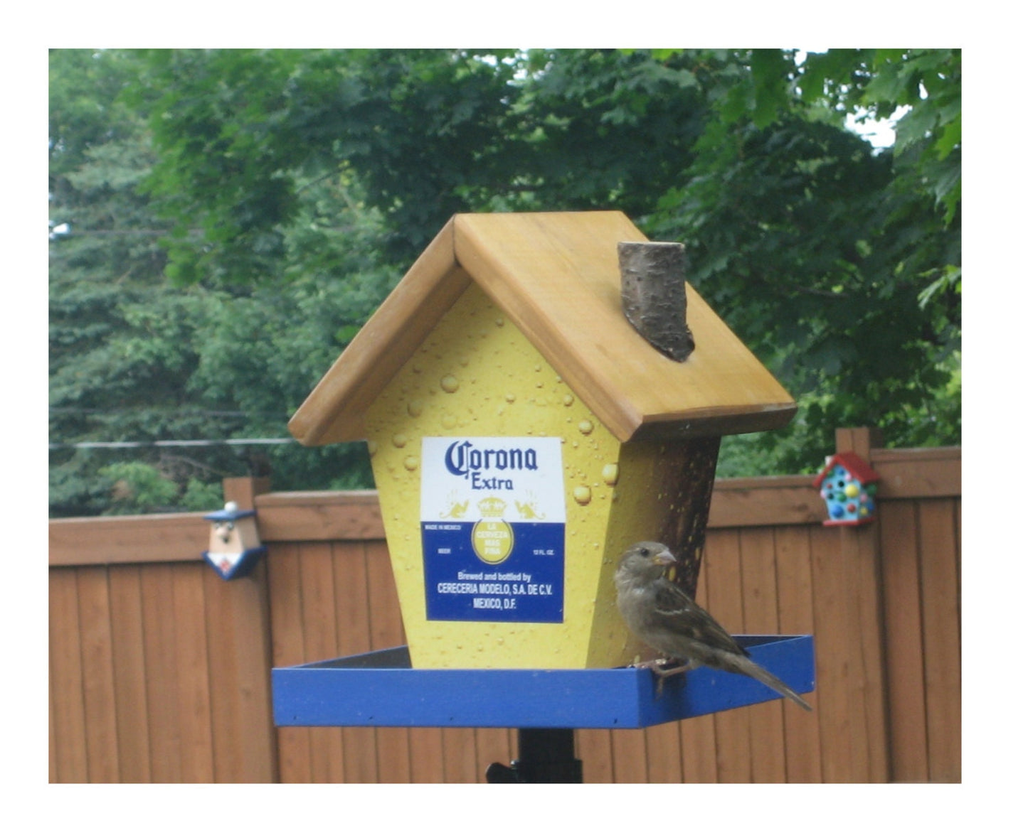 Corona Bird Bird Feeder/Birdhouse