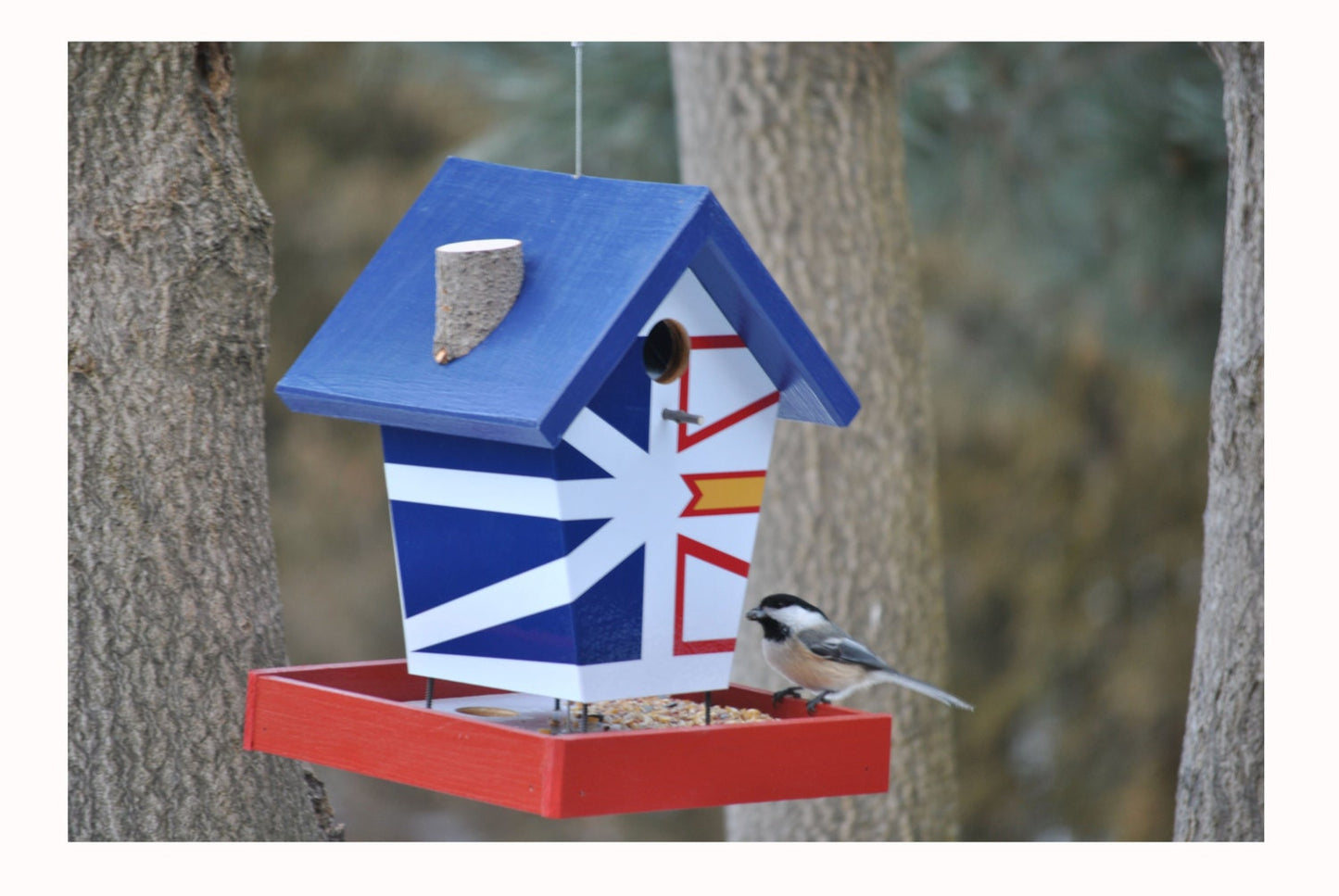 Newfoundland (Blue Roof) Bird Feeder/Birdhouse