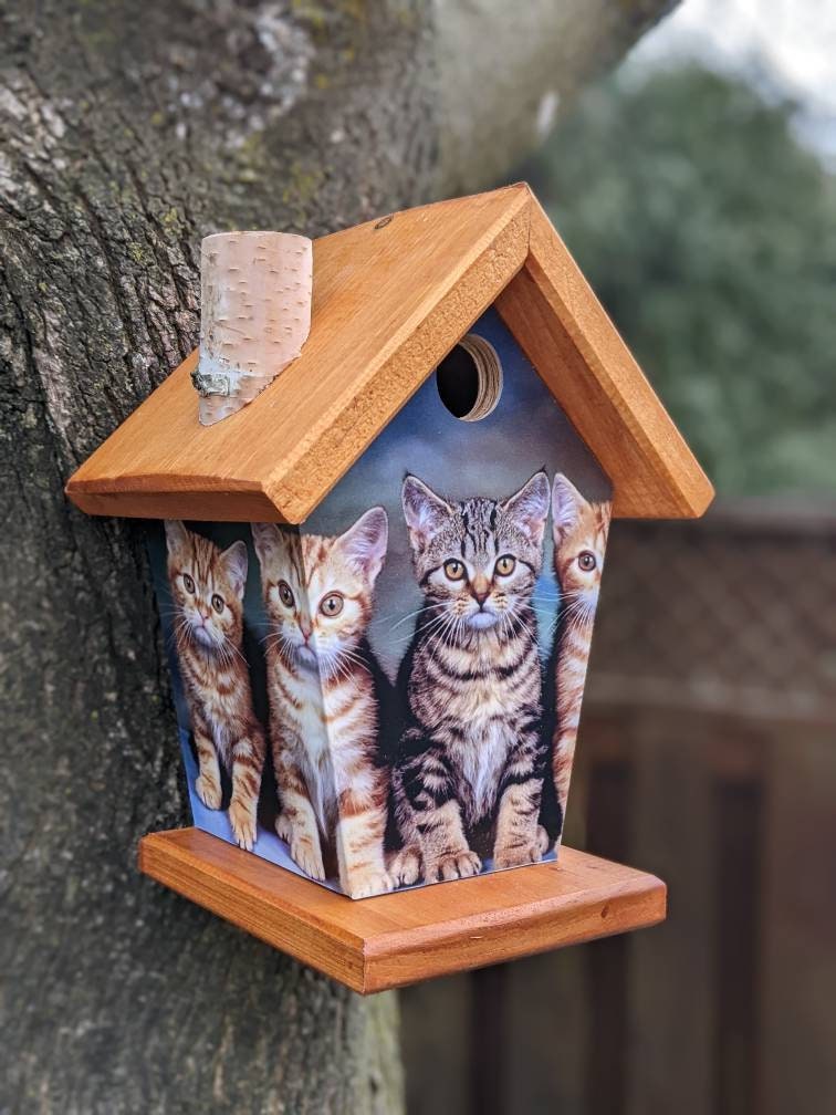 Kittens(Stained Roof) Birdhouse