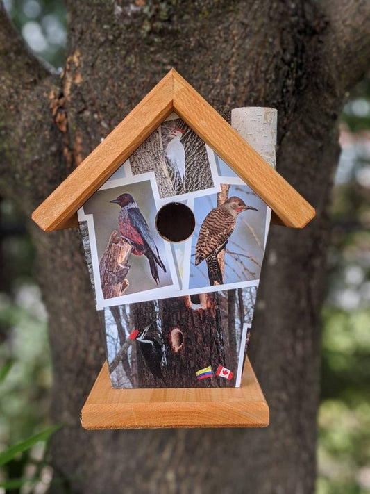 Woodpecker Birdhouse/Feeder
