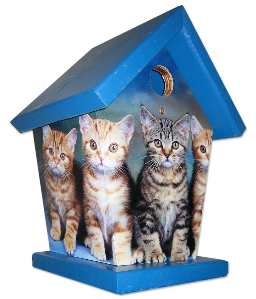 Kittens (Blue Roof) Birdhouse/Feeder