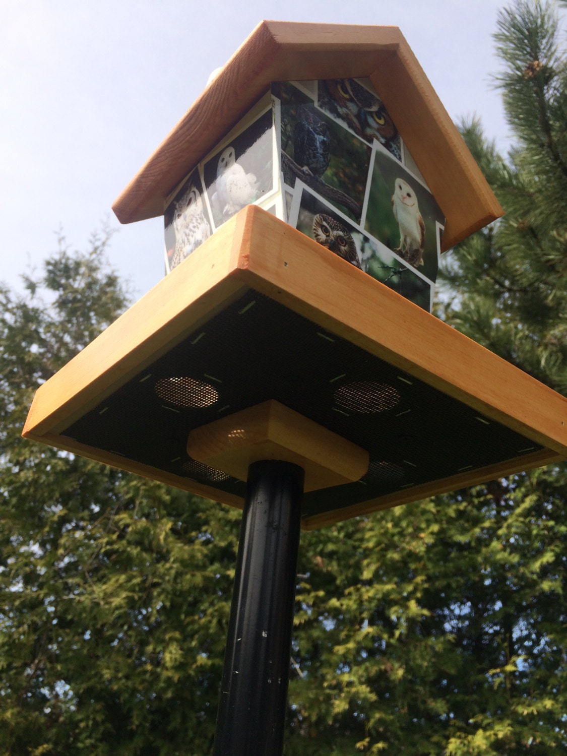 Owl Birdhouse Bird Feeder/Birdhouse