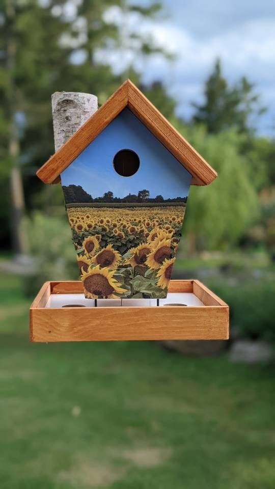 Sunflower Bird Feeder/Birdhouse