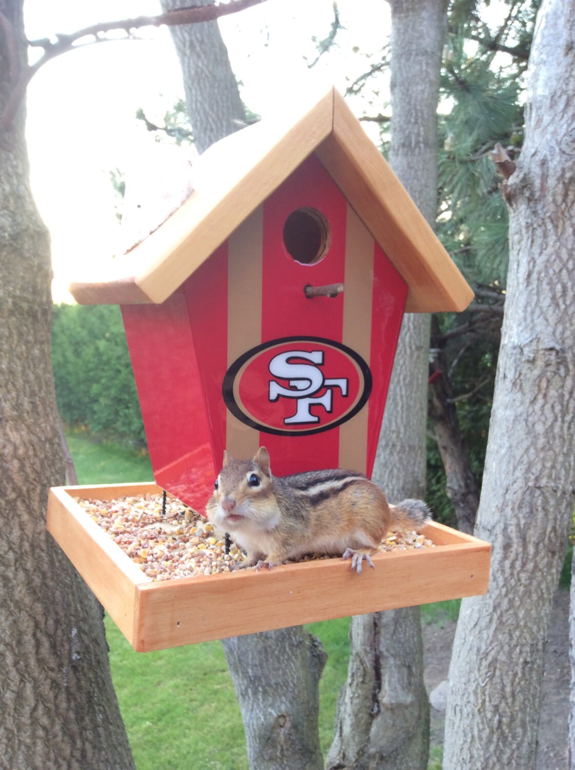 San Francisco 49ers Bird Feeder/Birdhouse