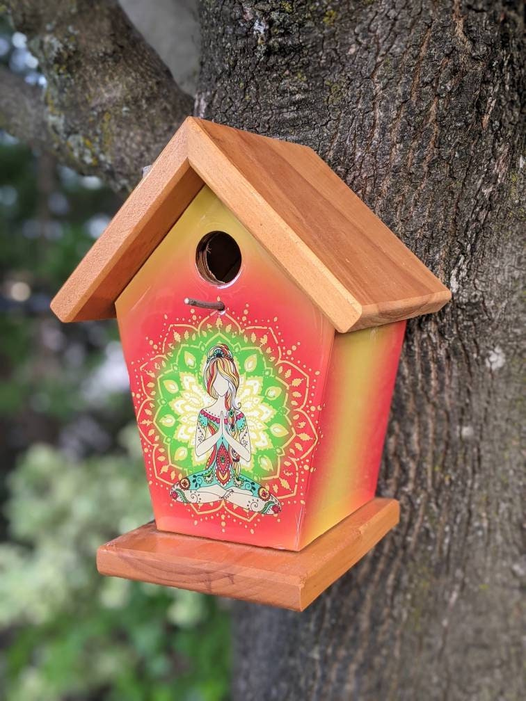 Yoga Birdhouse/Feeder