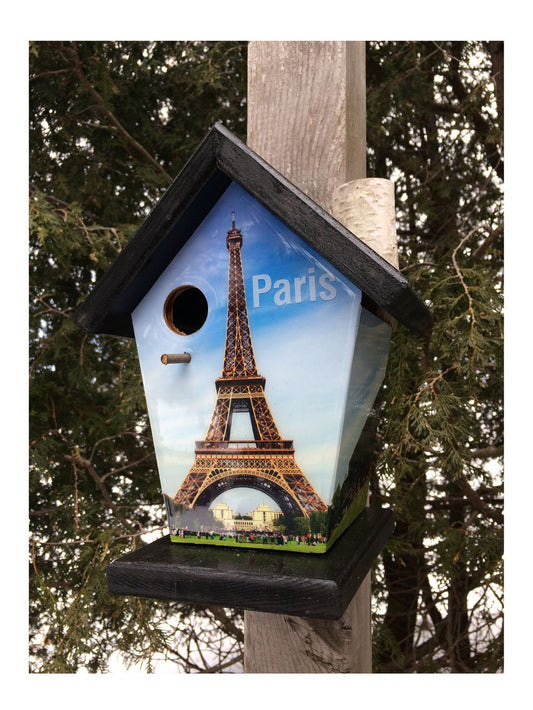 Eiffel Tower Birdhouse